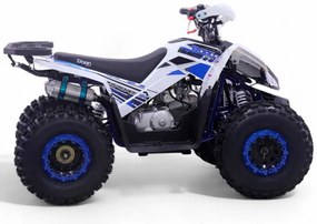 Mini Moto 4 gasolina para crianças automática 125cc Roan Coyote R8 Ecrã digital e com e marcha-atrás Azul