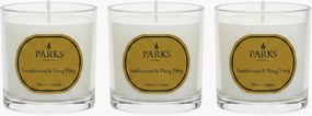 Velas perfumadas artesanais Vintage Aromatherapy (sândalo, ylang-ylang, âmbar quente), conjunto de 3