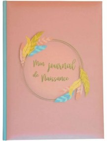 Álbum Domiva Mon Journal de Naissance