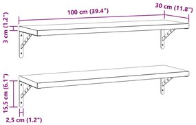 Prateleiras de parede 2 pcs 100x30 cm aço inoxidável prateado