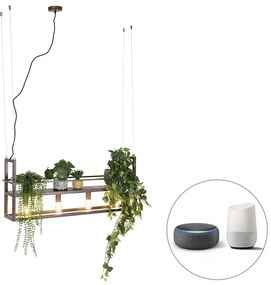 LED Candeeiro de suspensão inteligente castanho ferrugem com prateleira incl. 4 Wifi A60 - Cage Rack Industrial