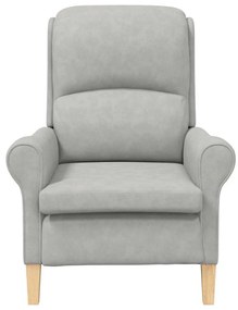 Poltrona Cinza Claro Cinzento-claro Standard