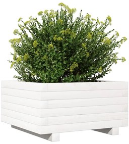 Vaso/floreira de jardim 50x50x26,5 cm pinho maciço branco