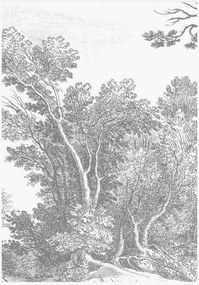 Papel de parede não tecido Engraved Landscapes V