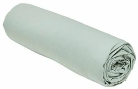 Lençol de baixo ajustável TODAY Essential Verde Claro 140 x 200 cm