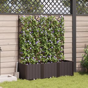Vaso de Jardim com Treliça 3 pcs Castanho 120x40x143 cm