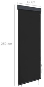 Estore de rolo para exterior 60x250 cm antracite