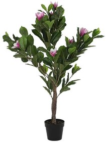 Planta Decorativa Dkd Home Decor Cor de Rosa Verde Pe (60 X 60 X 125 cm)