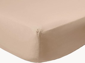 Lençol com elástico em percal de algodão Caffelatte