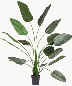 Planta artificial para exterior Strelitzia, Alt 210 cm