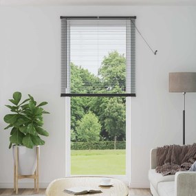 vidaXL Cortina Veneziana Manual Ajustável Cinza Prata 213 x 100 cm PVC