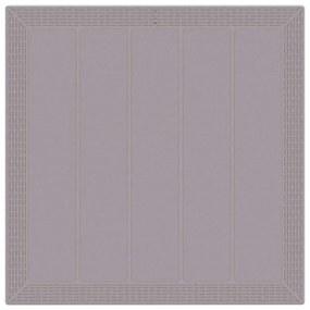 Conjunto de Jantar para Jardim 3 pcs Cinzento-claro