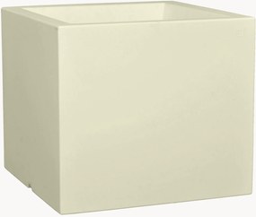 Vaso Cubotti