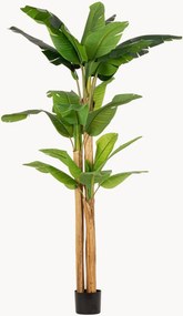 Planta artificial para exterior Banana Plant, Alt 280 cm