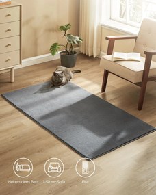 Tapete 80 x 150 cm para sala de estar Alcatifa antiderrapante Decoração Cinzento