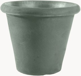 Vaso Camelia