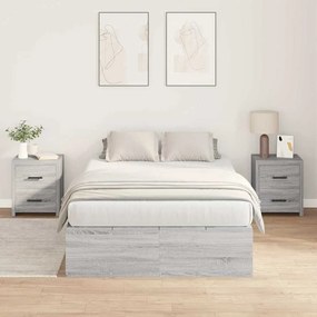 Camas de Armazenamento Cinza Sonoma 120x190 cm