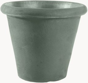 Vaso Camelia
