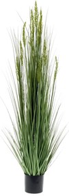 423617 Emerald Erva de grão artificial 150 cm