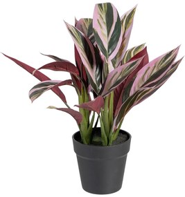 Planta Decorativa 44 X 39 X 48 cm Cor de Rosa Verde Pvc