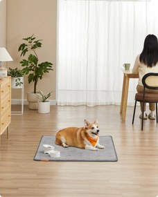 Conjunto de 2 Tapetes para cachorros, laváveis, 122 x 91 cm, Cinzento