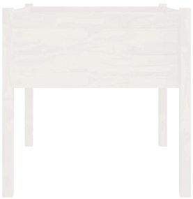 Vaso/floreira de jardim 2 pcs 70x70x70 cm pinho maciço branco