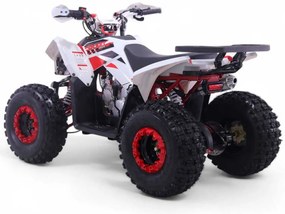 Mini Moto 4 gasolina para crianças automática 125cc Roan Coyote R8 Ecrã digital e com e marcha-atrás Vermelha