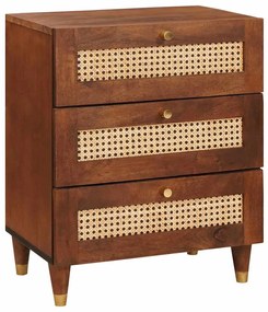 vidaXL Mesas de cabeceira 50 x 33 x 62 cm Madeira de manga maciça