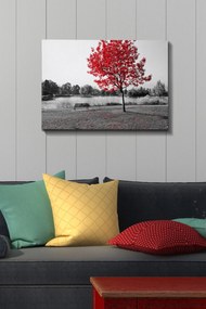 Tela Decorativa Modelo 247248526 – Multicolor – 50 x 70 cm
