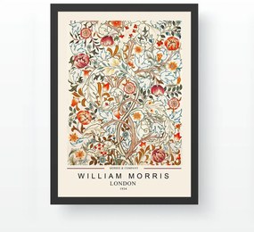 Quadro Decorativo com Moldura SC23868562-3545 – Multicolor – 35 x 45 c