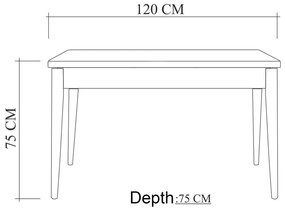 Conjunto de Mesa e Cadeiras Costa – Pinho Atlântico/Branco/Antracite –