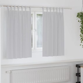 vidaXL Cortinas com cortinas 2 pcs Cinzento-claro Poliéster