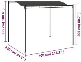 Toldo 3x2,4 m antracite