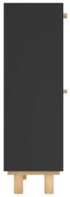 Sapateira 52x25x80 cm derivados de madeira/vime natural preto