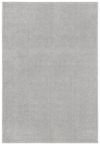 340325 vidaXL Tapete de pelo curto 160x230 cm cinzento-claro