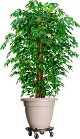 vidaXL Carrinho de plantas com rodas 5 pcs diâmetro 40 cm 275 kg preto