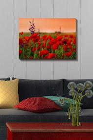 Quadro Decorativo 100214240 – Multicolor – 50 x 70 cm