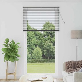 Persiana de Janela Cinzento-escuro 120 x 220 cm Alumínio