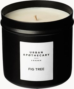 Vela perfumada vertida à mão Fig Tree (folha de figo, coco, cedro)