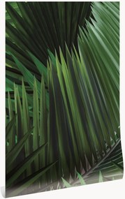 Papel de parede não tecido Palm