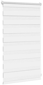 Estore de rolo 50 x 100 cm, linhas de zebra / Branco