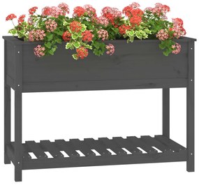 Vaso/floreira com prateleira 111,5x54x81 cm pinho maciço cinza