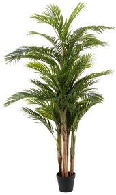Planta Decorativa Areca Verde 189 cm