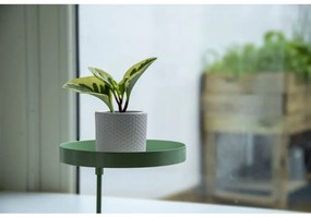 Esschert Design Tabuleiro para plantas redondo com braçadeira M verde