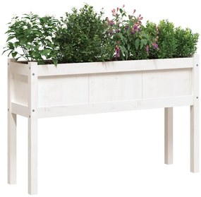 Floreira de jardim c/ pernas 110x31x70 cm pinho maciço branco