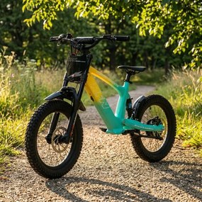 Bicicleta elétrica infantil 500W Roan RXF Evo Racing 18" Verde e Amarela