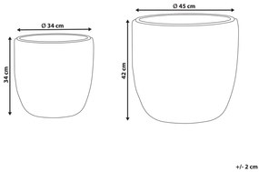 Conjunto de 2 vasos para plantas em rattan castanho BERBERIS Beliani