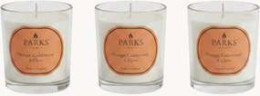 Velas perfumadas artesanais Vintage Aromatherapy (laranja, madeira de cedro, cravinho), conjunto de 3