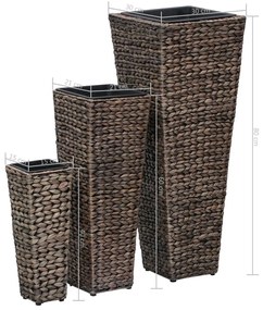 Vasos/floreiras 3 pcs jacinto de água castanho-escuro