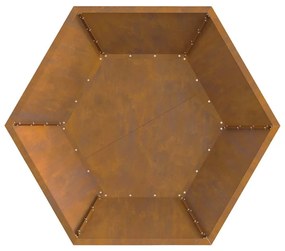 Fogueira Hexagonal vidaXL 100x100x28 cm Aço Envelhecido